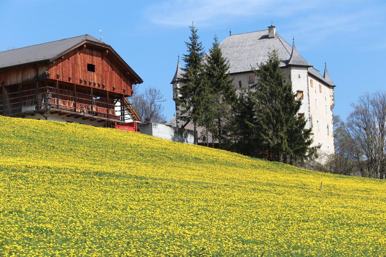 Medesc La Villa (Trentino Alto Adige) Exterior foto